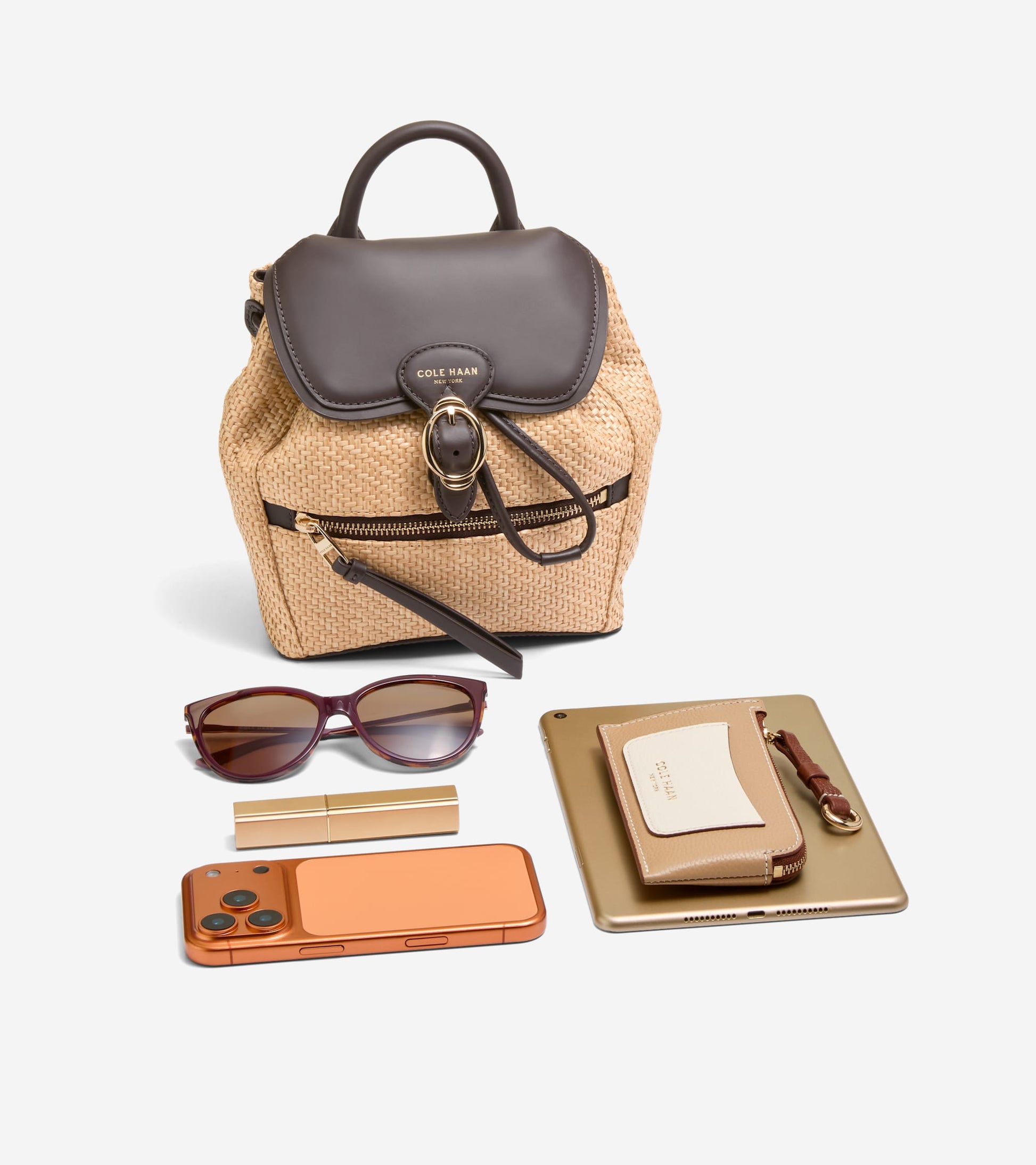 Women's Alexandria Flap Small Backpack-Natural Raffia-Dark Chocolate