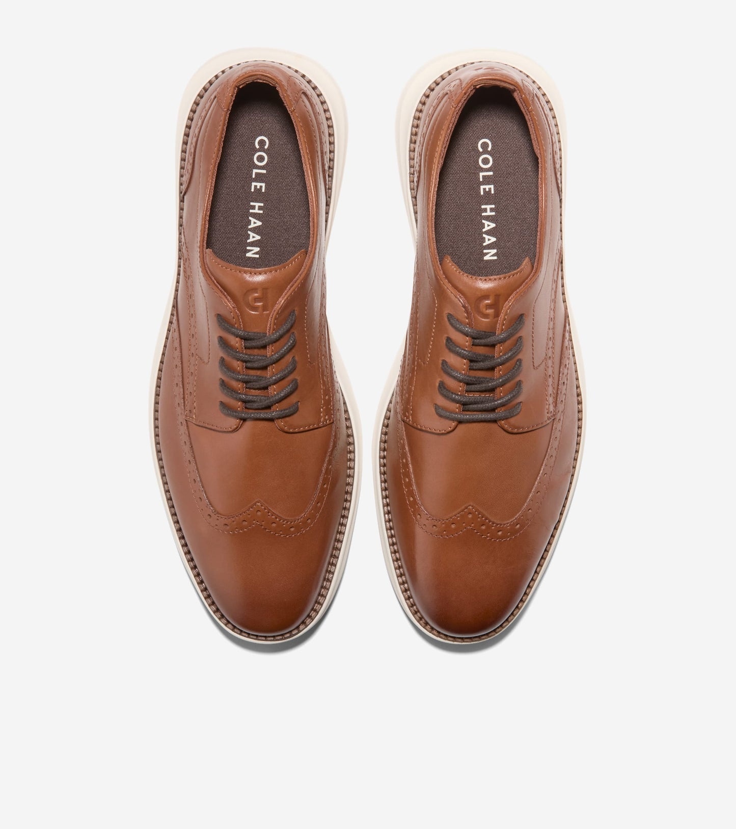 C41555:BRITISH TAN / IVORY