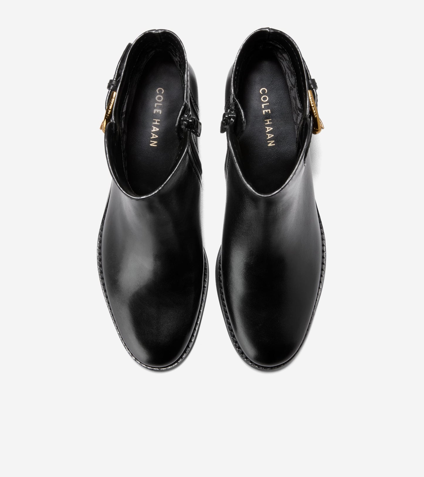 W33731:BLACK LTR
