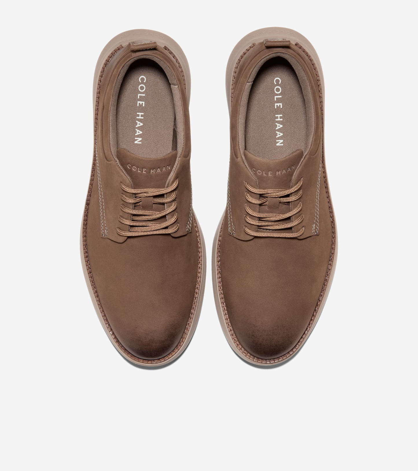 C43043:CH TRUFFLE NUBUCK / CH IRISH COFFEE