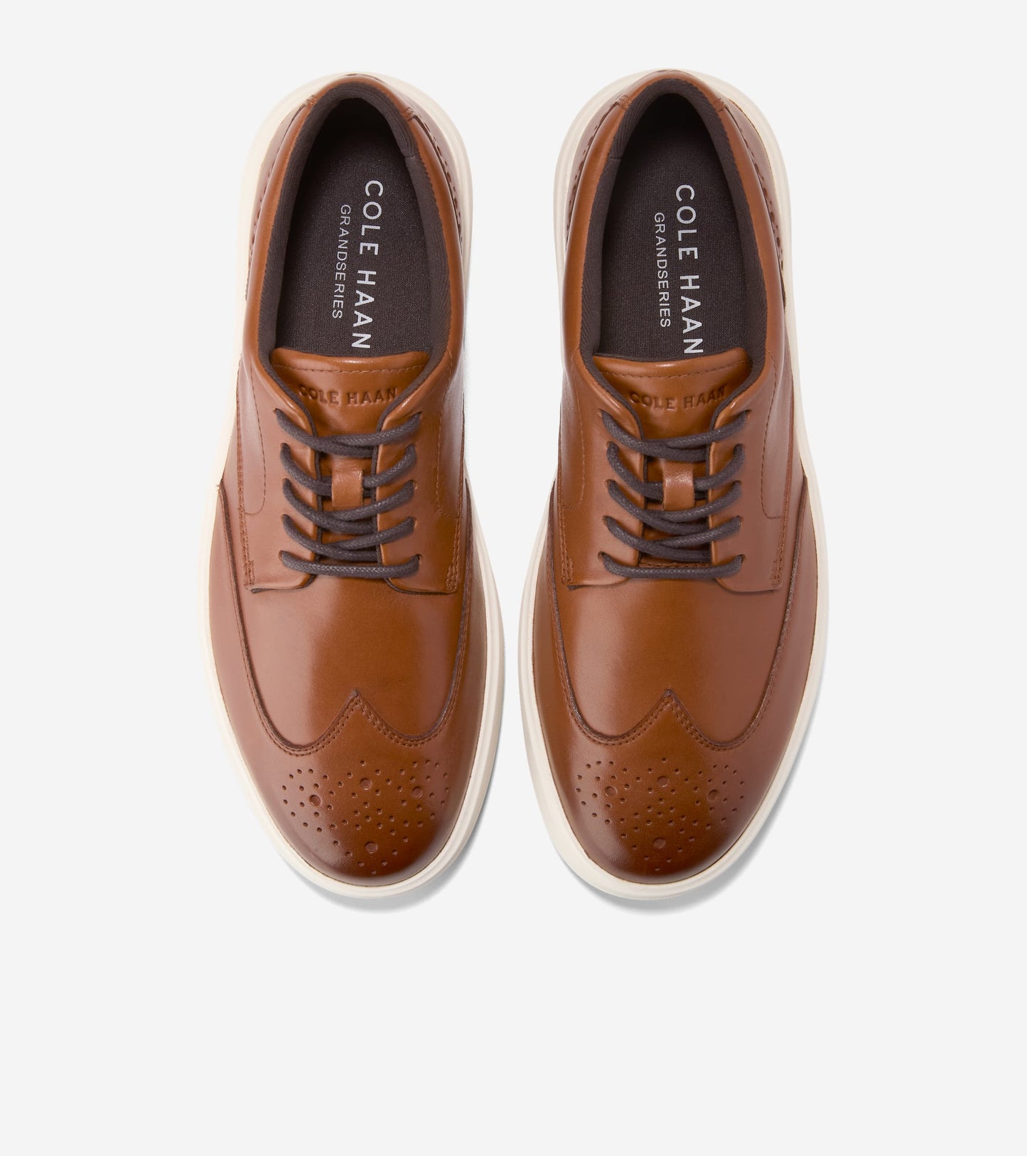 C39816:CH BRITISH TAN / CH DK CHOCOLATE / IVORY