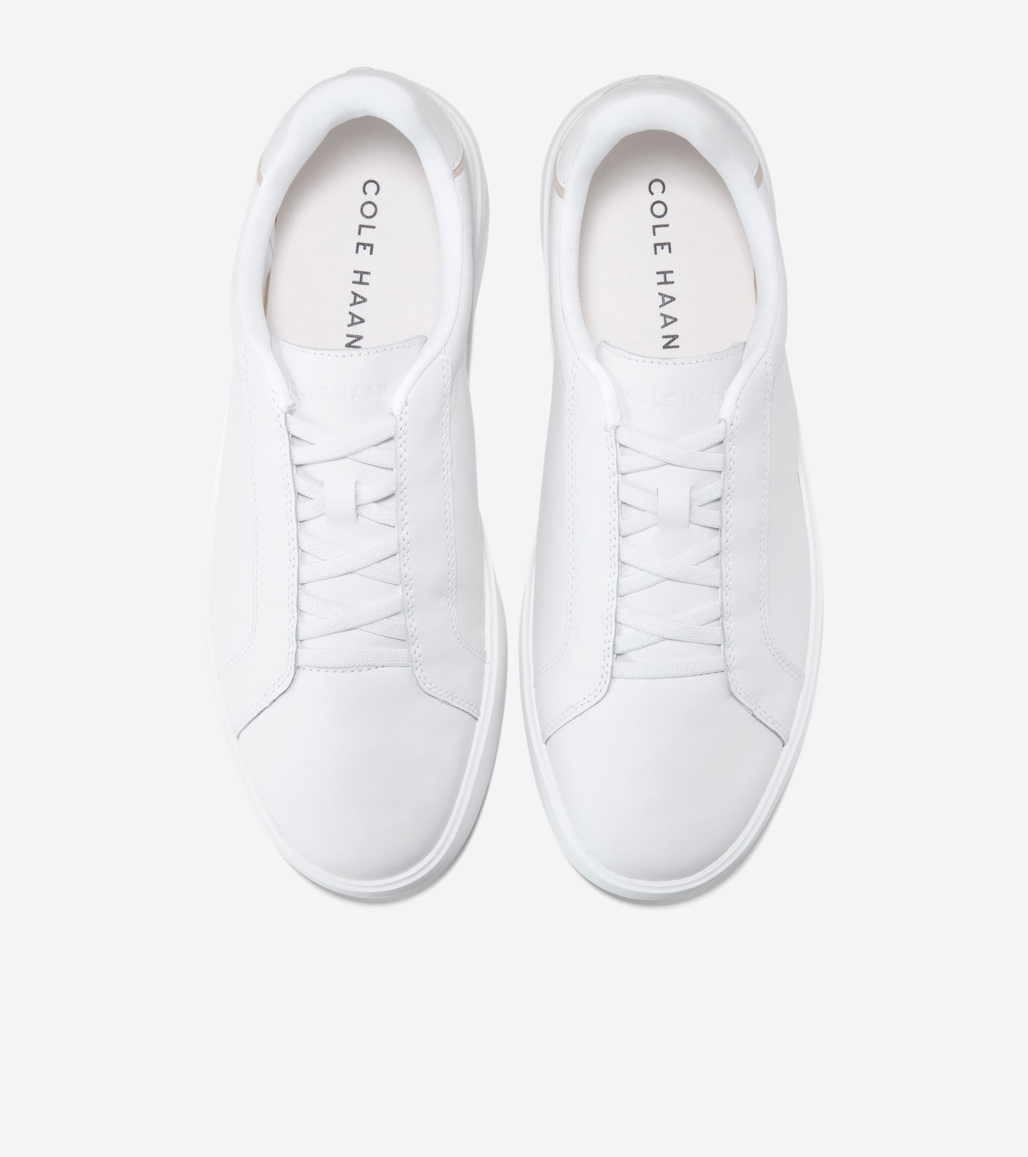 C42340:OPTIC WHITE / CH NATURAL VACHETTA