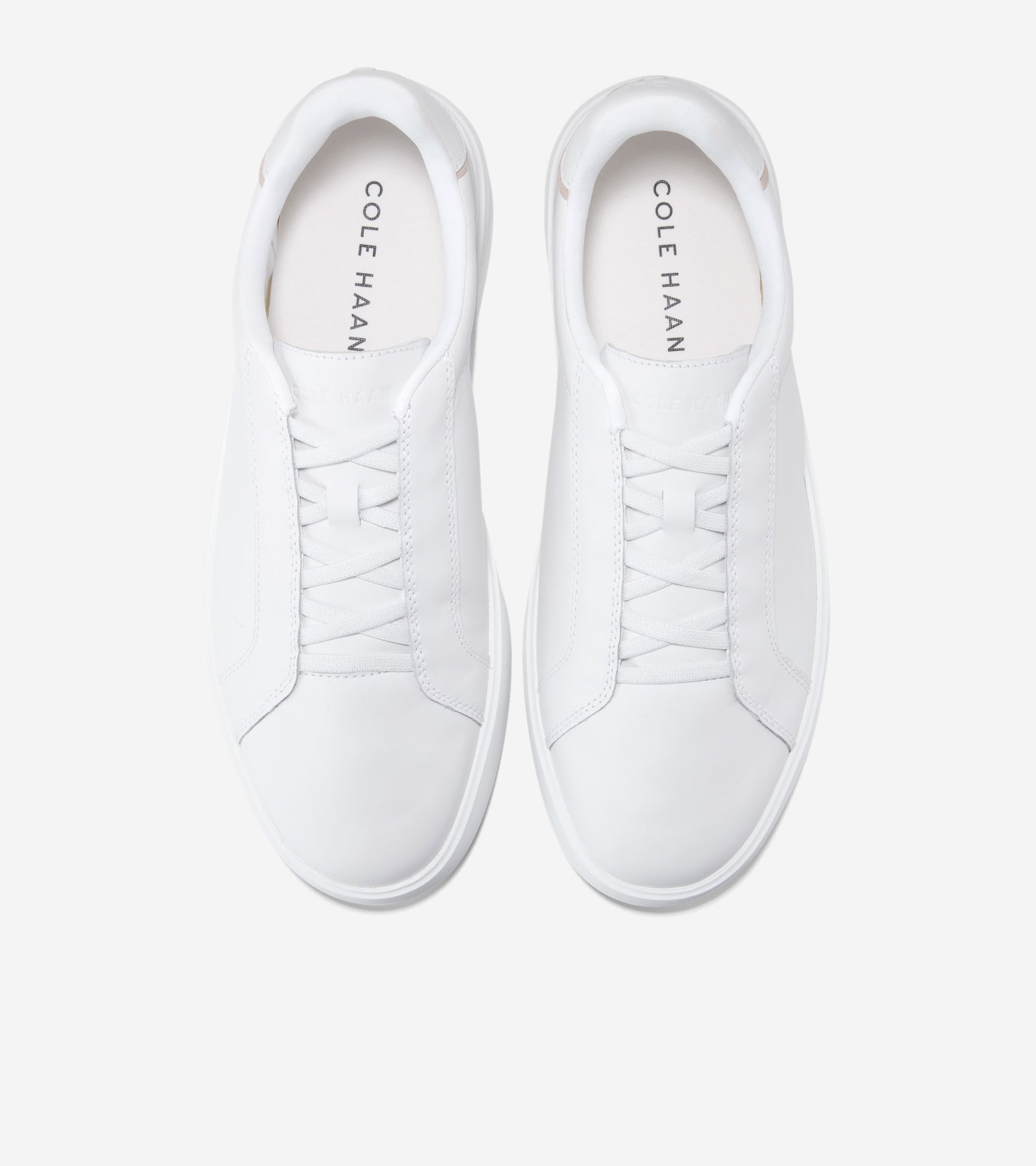 C42340:OPTIC WHITE / CH NATURAL VACHETTA