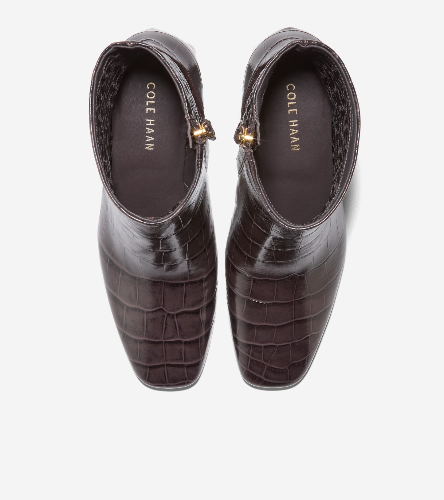 W34663:DK CHOC CROC PR LT