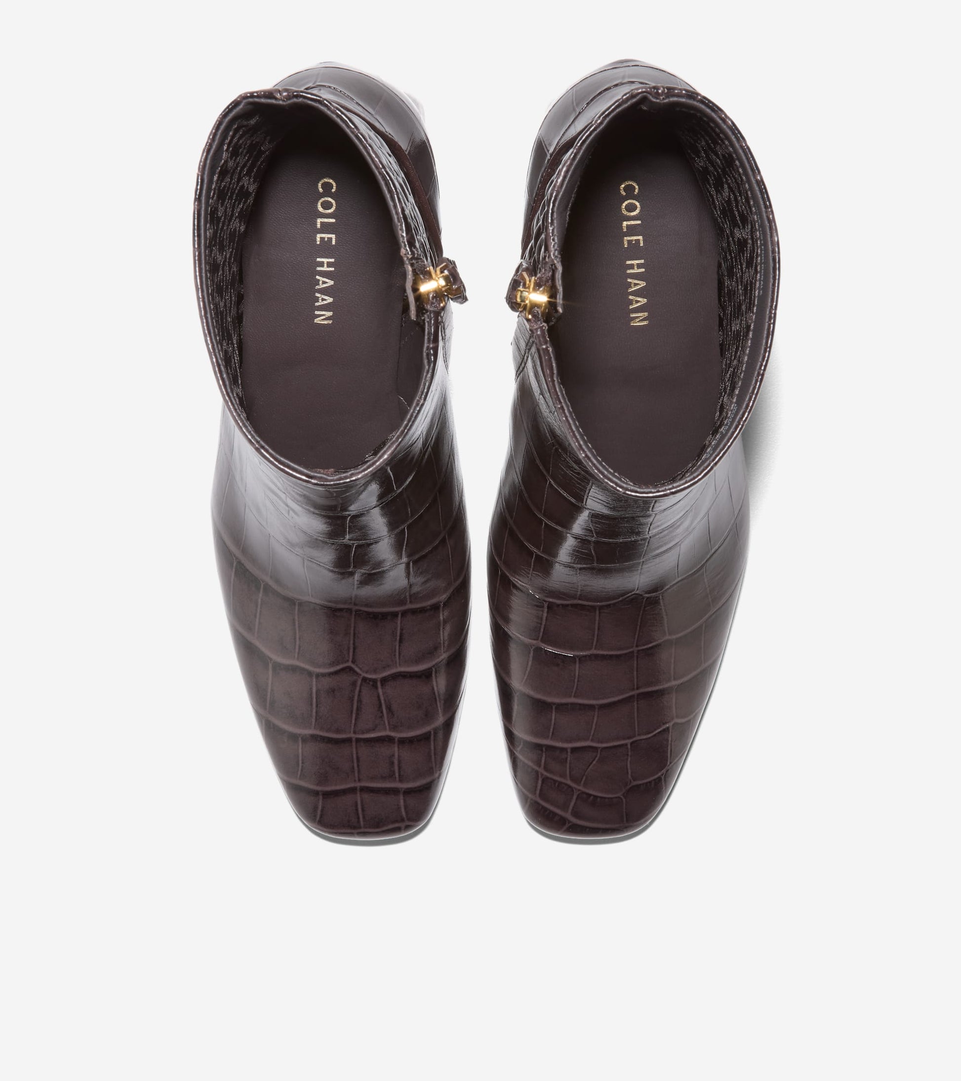 W34663:DK CHOC CROC PR LT