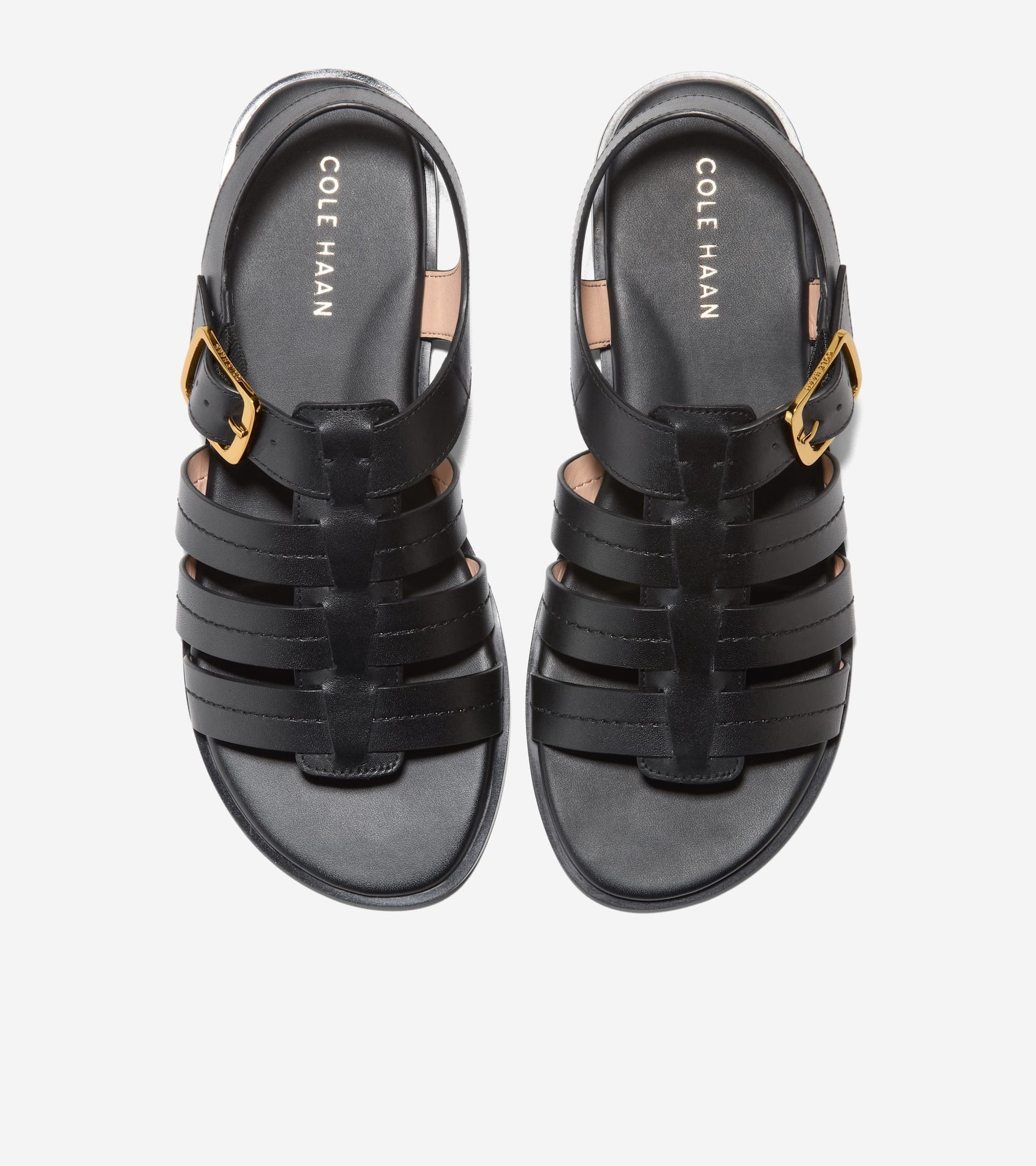 W32272:BLACK LTR
