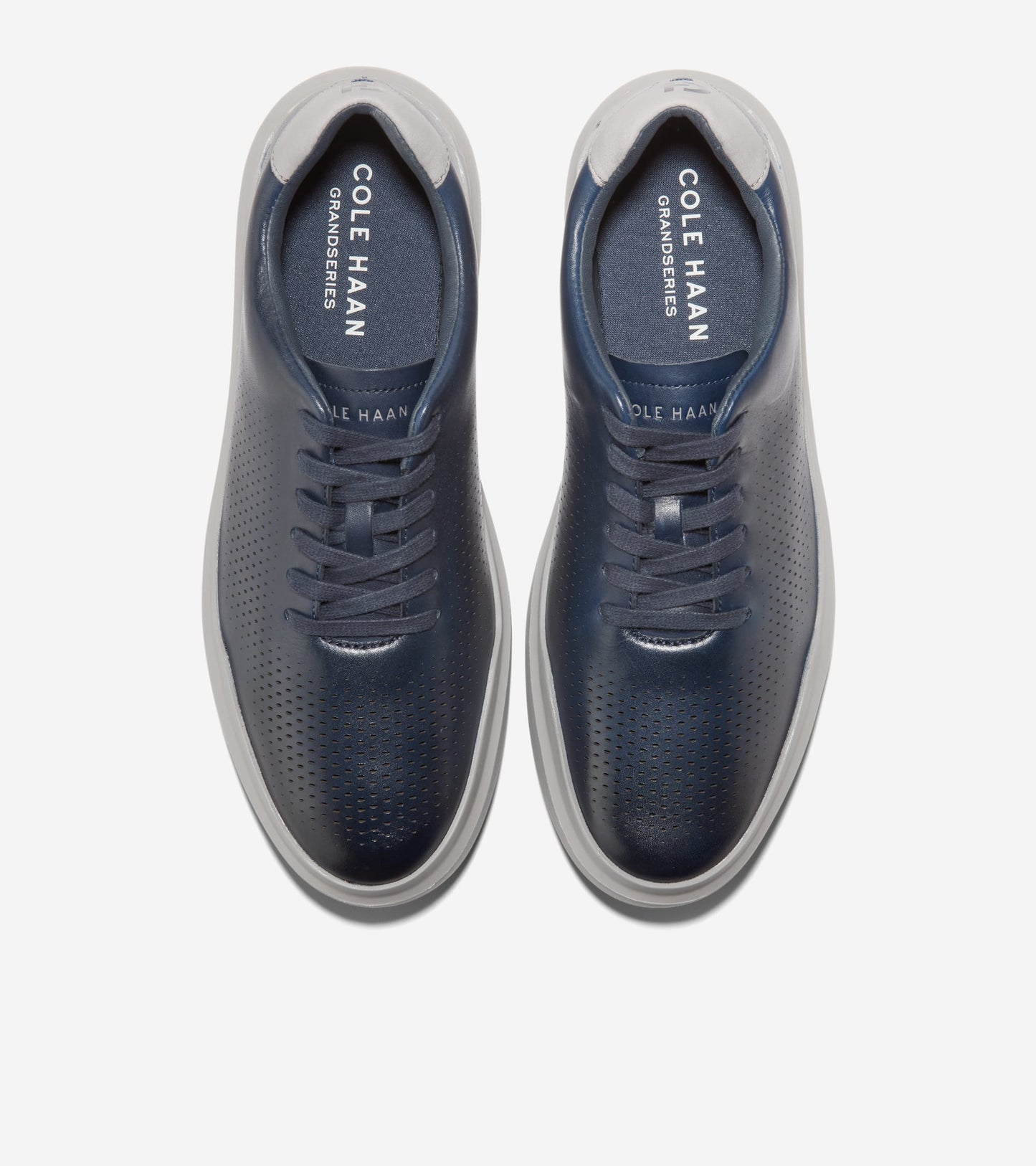 C41227:MIDNIGHT MOON / PALOMA / PALOMA