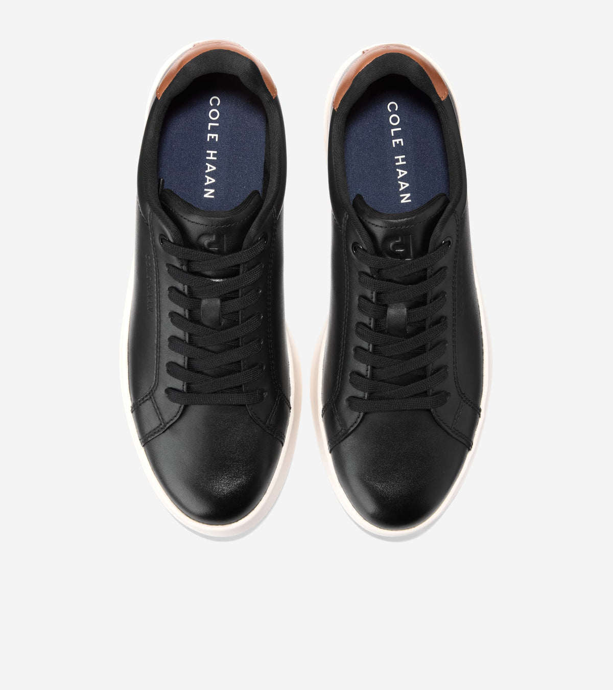C42809:BLACK / BRITISH TAN / IVORY