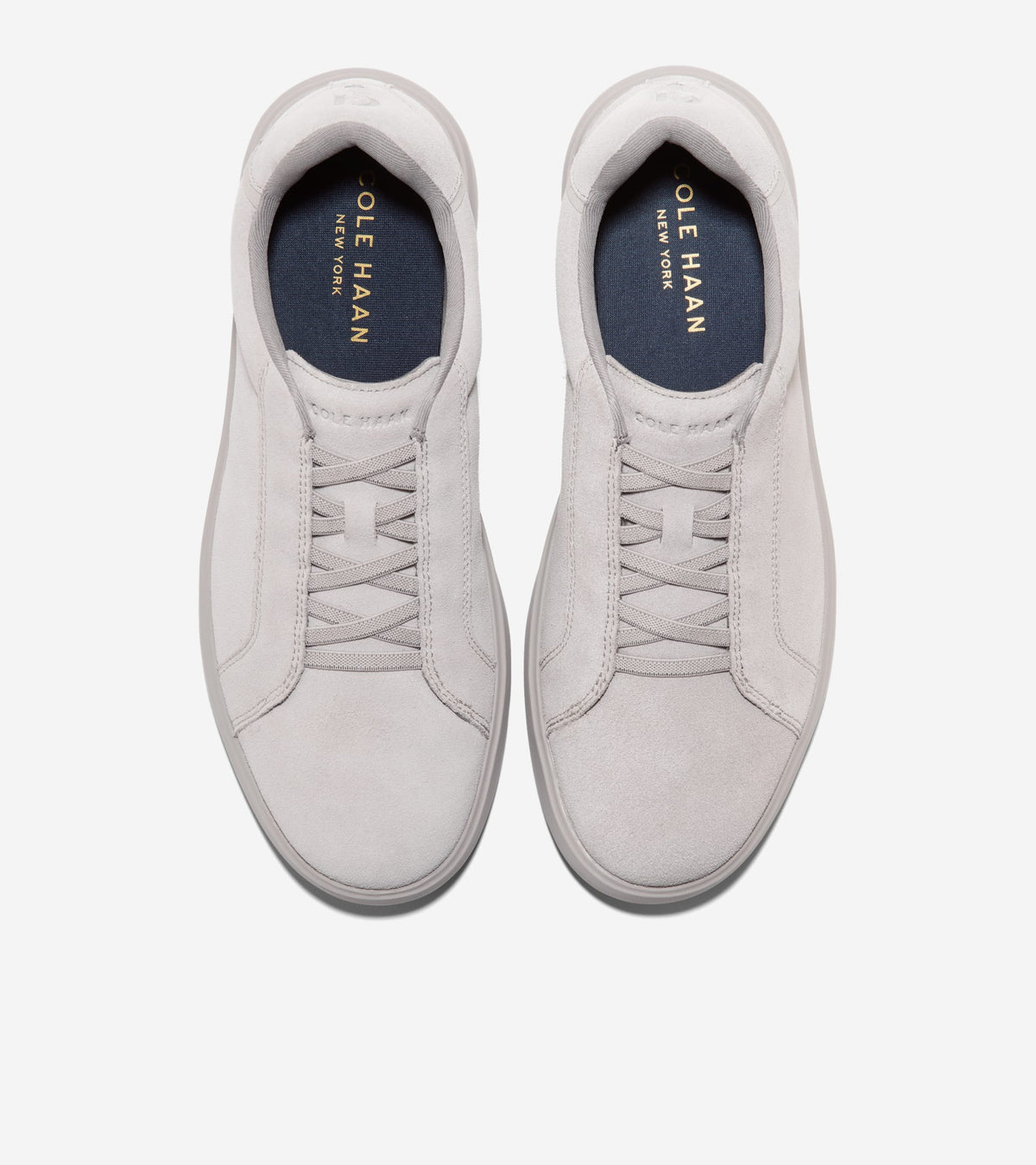 C44566:PALOMA SUEDE / PALOMA / PALOMA