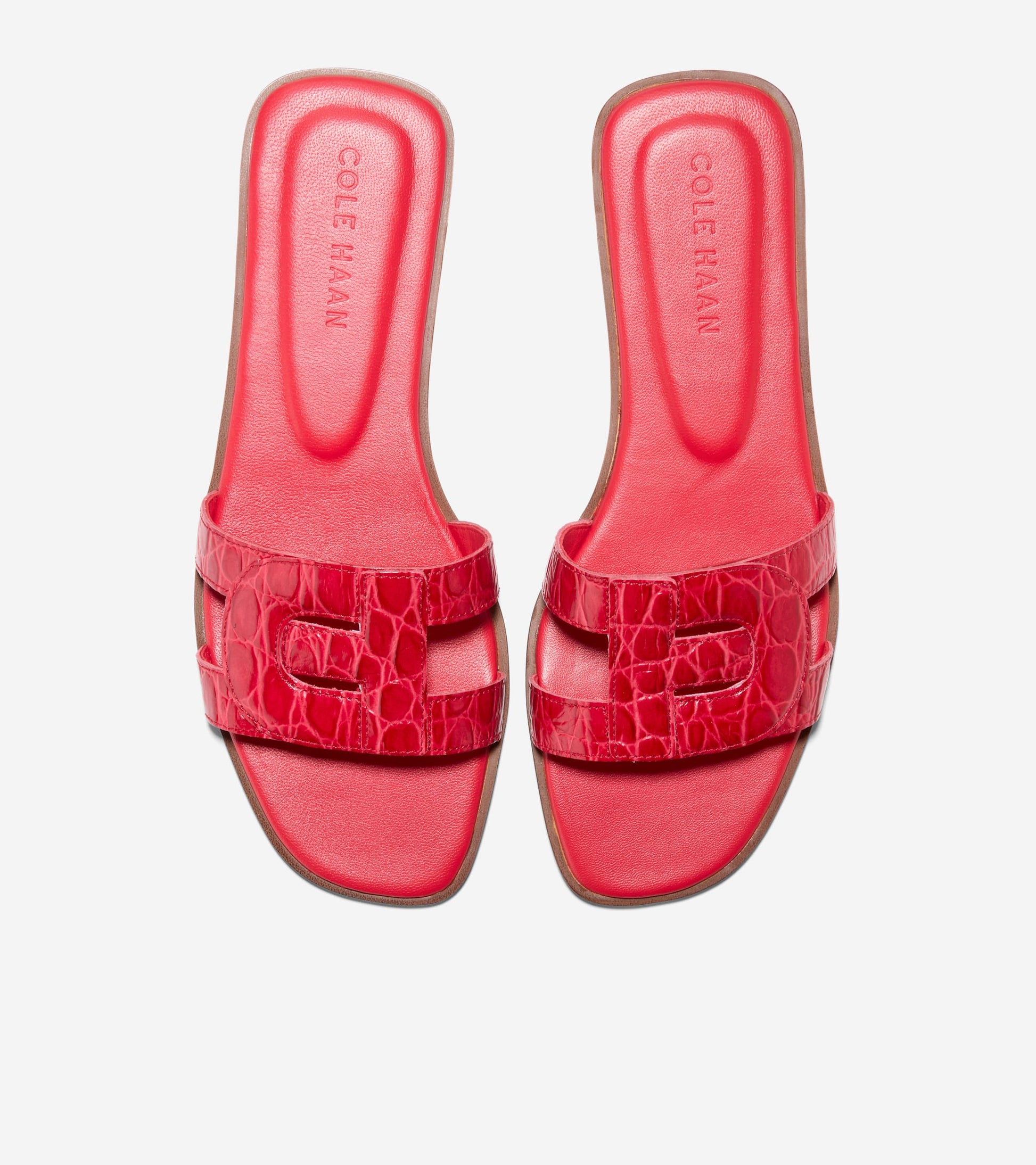 W29328:TRUE RED CROC PRT LTR